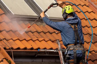 Démoussage et hydrofuge de toiture à Borey
